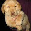 5 weeks old!