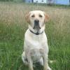 Brody at 2 1/2